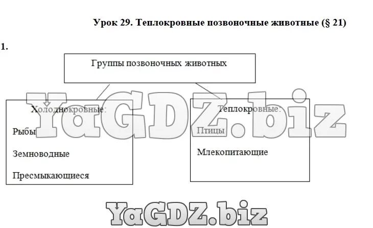 Укажите группы позвоночных животных. Дополните схему группы позвоночных животных. Дополни схему животные. Дополни схему группы беспозвоночных животных холоднокровные. Заполните таблицу теплокровные животные.