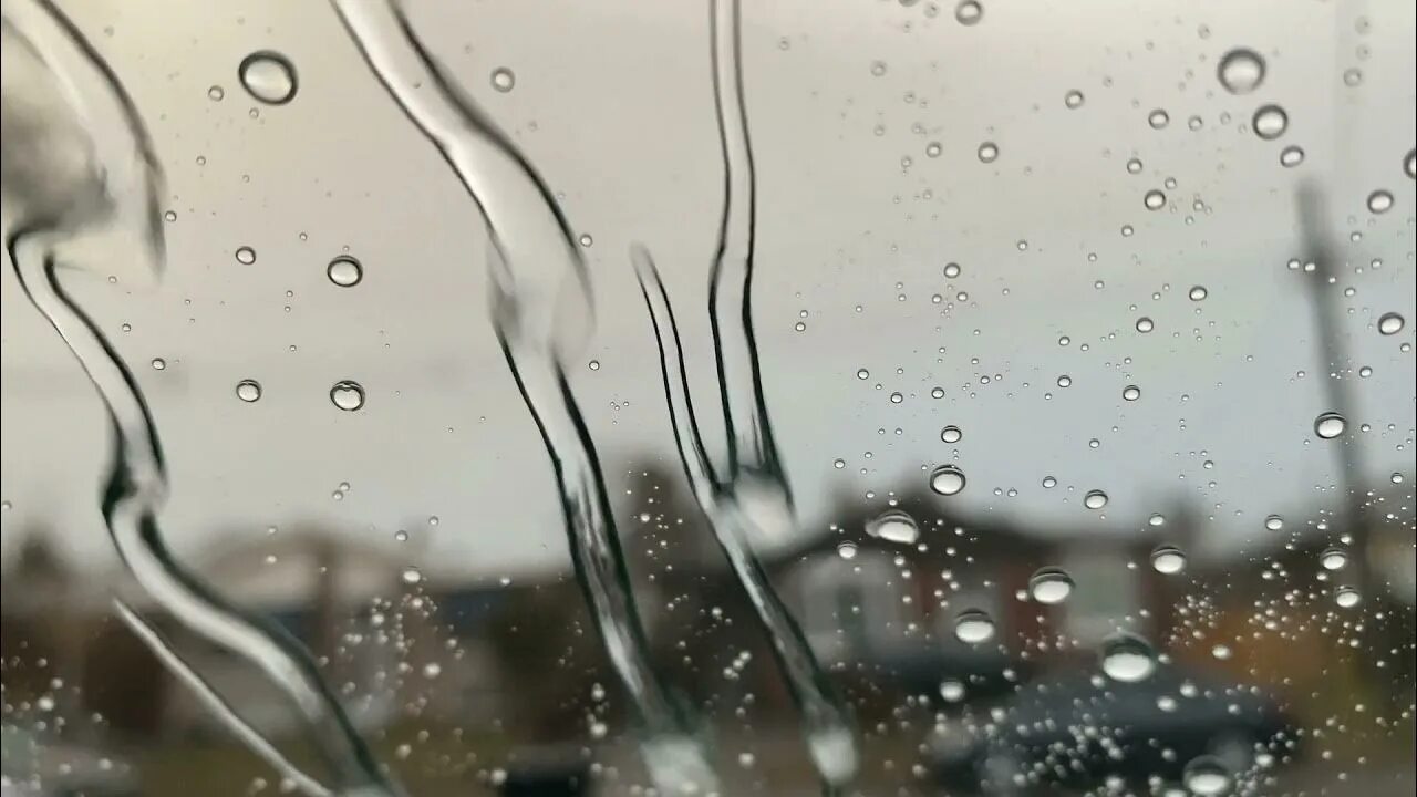 Осень дождь любовь. Сон тихий дождь. Сон тихий дождь. Сон тихий дождь. Звуки природы дождь.