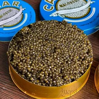 Серая икра рыбы