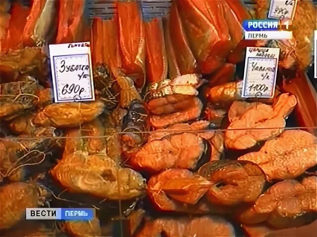 Рыбак камчатки