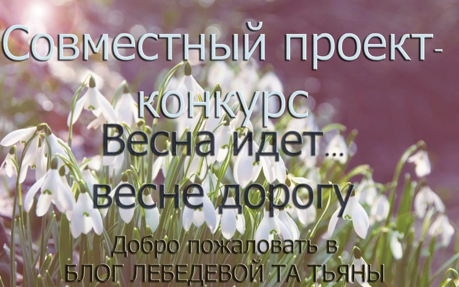 Февральские цветы. Весну хочу весне дорогу. Вена идет весне дорогу. Вена идет весне дорогу. Весну хочу весне дорогу.