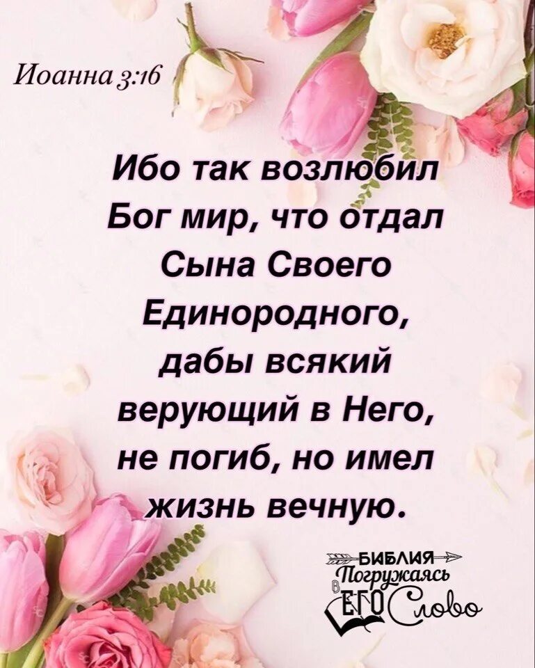 Ибо так возлюбил мир. И так возлюбил Бог мир что отдал сына своего Единородного. Библия ибо так возлюбил Бог мир что отдал сына своего Единородного. Стих ибо так возлюбил Бог мир.