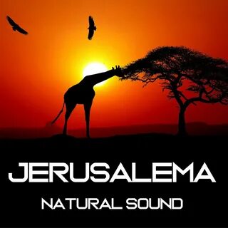 Включи jerusalema