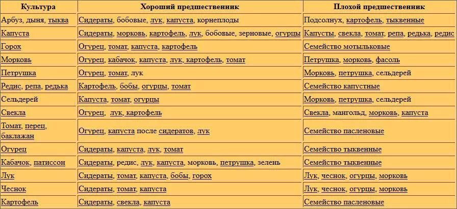 Можно ли садить чеснок после чеснока. Таблица сидератов для овощных культур. Таблица севооборота овощных культур и сидератов. Таблица сидератов для овощных культур таблица. Предшественники культур.