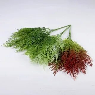 Букет из петрушки