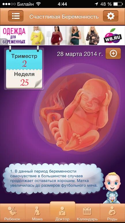 приложение беременность по неделям. календарь беременности приложение. приложение ведение беременности. приложение для беременности с фруктами. приложение беременность по неделям календарь.