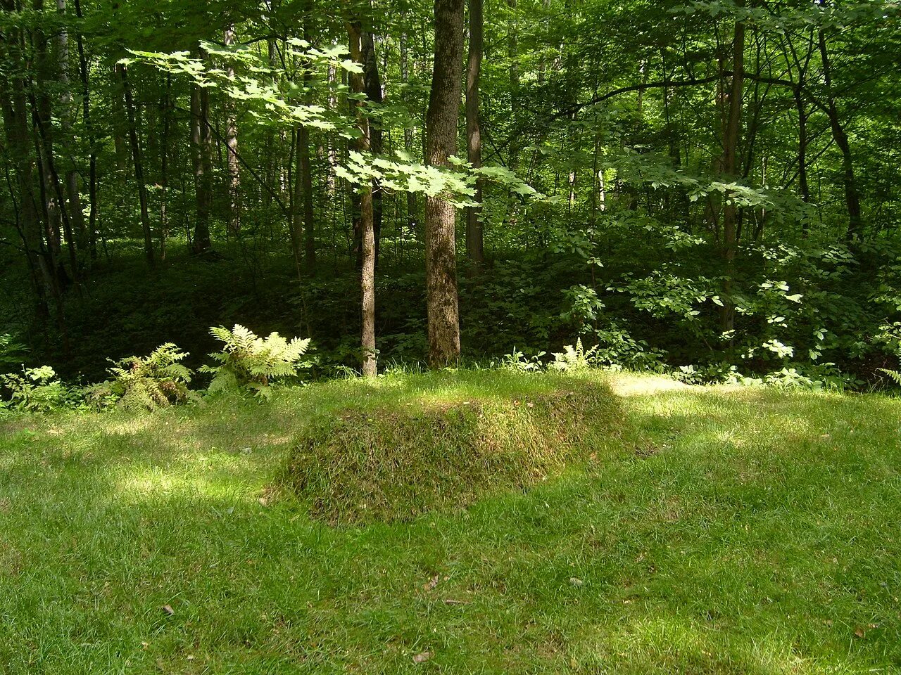 Полян жизнь. Ясная поляна могила льва толстого. Ясная поляна могила толстого. Полян жизнь. Ясная поляна могила льва толстого.