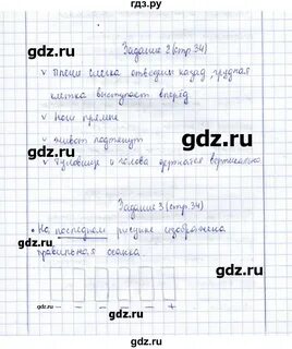 Биология 9 класс соломина шевырева рабочая тетрадь