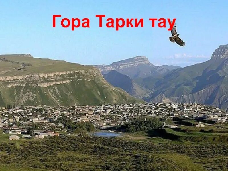 Гора Тарки Тау в Дагестане. Тарки Тау Махачкала. Гора Тарки Тау в Махачкале смотровая площадка. Смотровая горы Тарки Тау Дагестан.