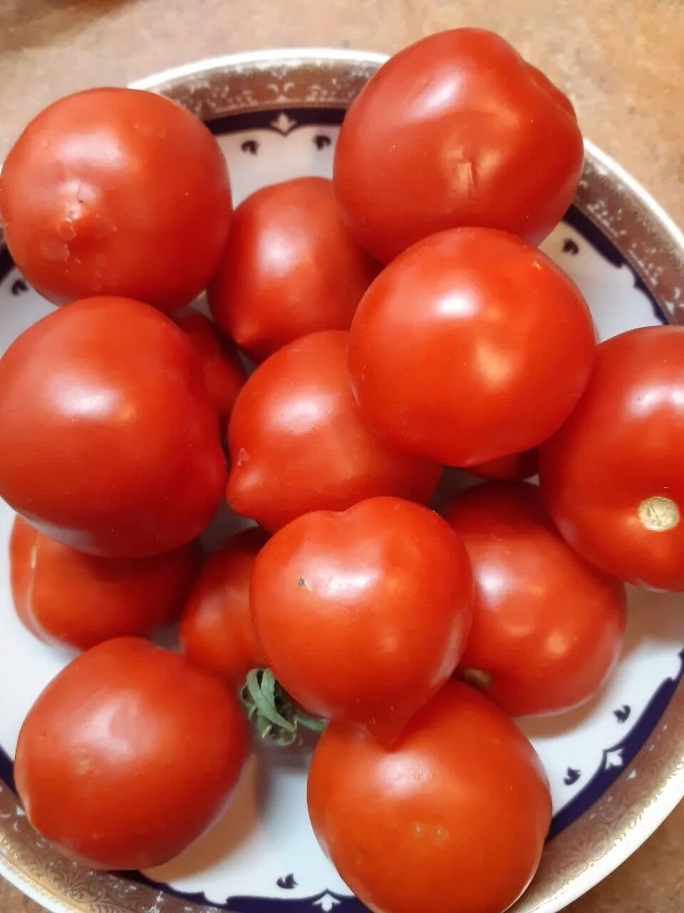 Любимые - томаты с "носиком". Самые вкусные и урожайные сорта за прошлый год Ого