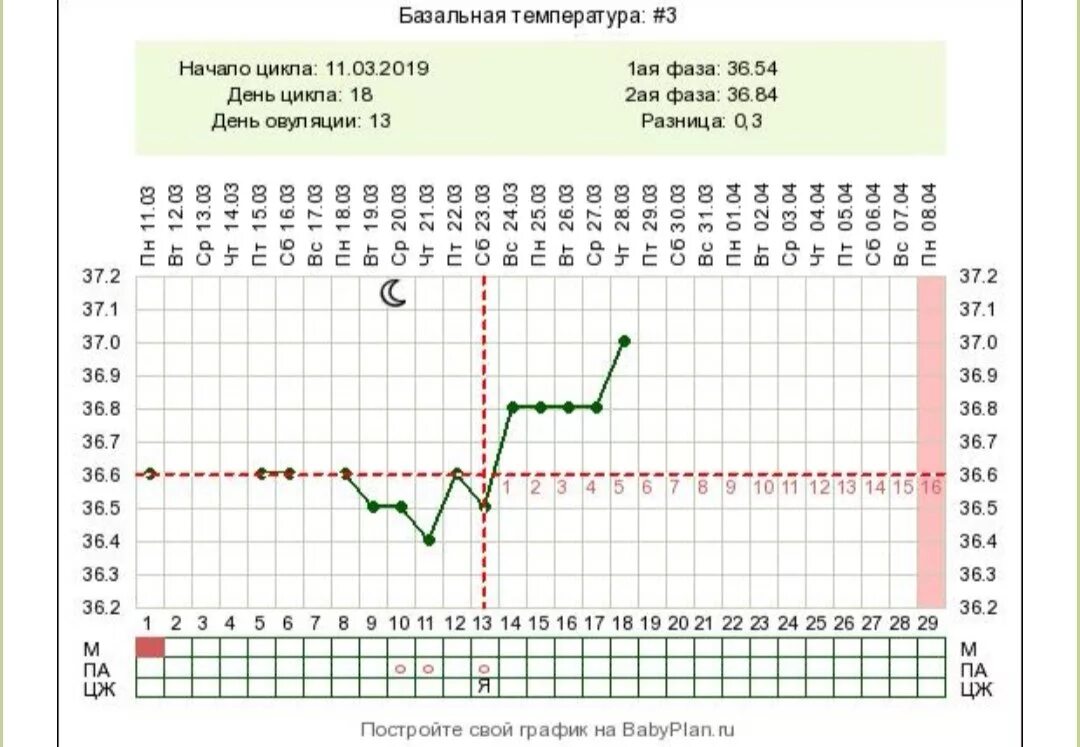 Как поймать овуляцию чтобы забеременеть