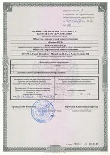 Лицензирование профессионального образования