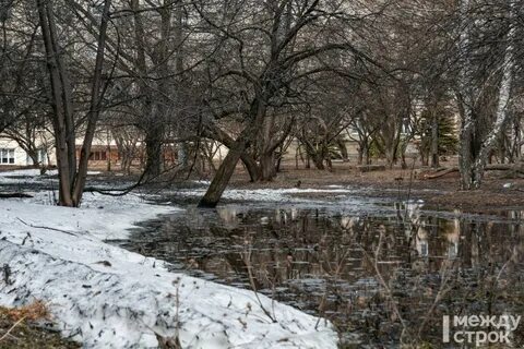 Жизнь март нижний