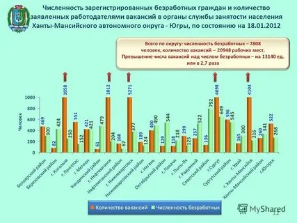 Количество зарегистрированных в санкт петербурге