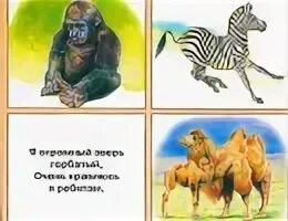 Зверь я горбатый но нравлюсь ребятам ответ. Горилла зебра. зверь я горбатый а нравлюсь ребятам. загадка зверь я горбатый но нравлюсь ребятам. зверь я горбатый но нравлюсь ребятам ответ на загадку.