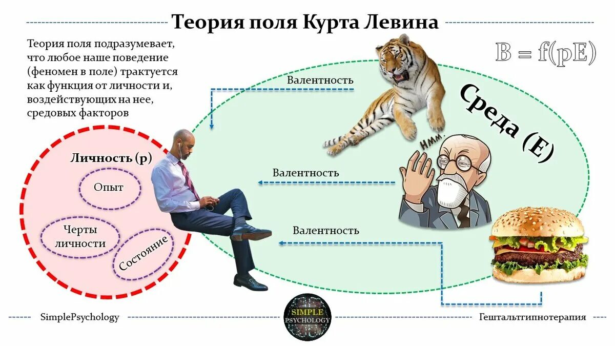 Психологическое поле Курт Левин. Курт Левин теория. Теория поля Курта Левина. Курт Левин теория психологического поля. Field theory