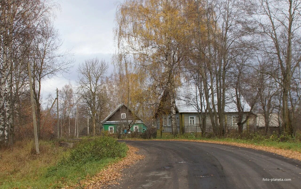 Погода любница валдайский