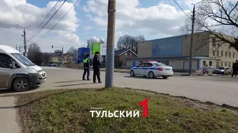 Верные друзья тула