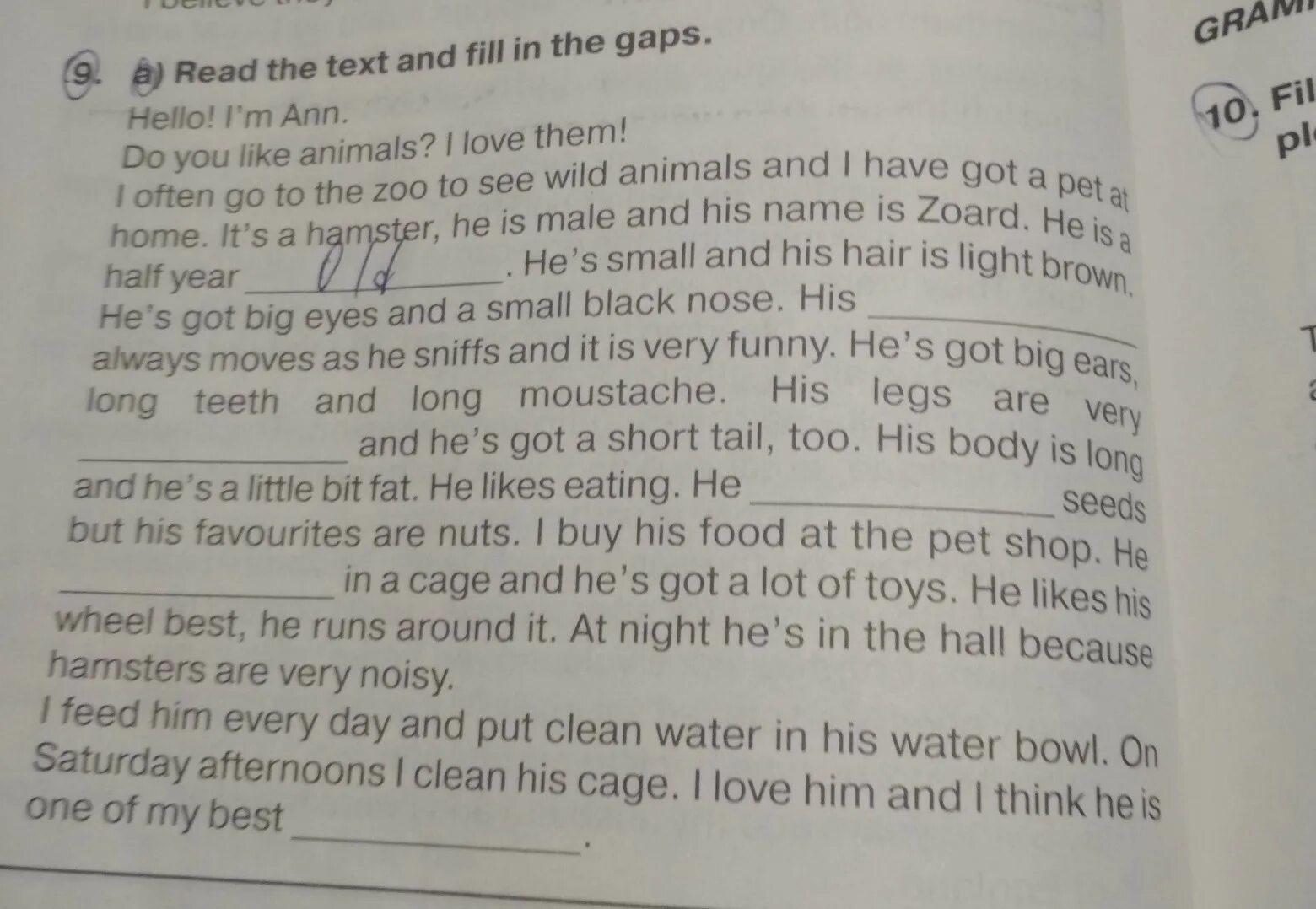 Read again and mark the statements. Read the text and fill in the gaps. Текст fill the gaps in the text. Read the text and Mark the Statements true t false f not stated NS 5 класс. Read the text and Mark the sentences t true f false not stated NS 5 класс.