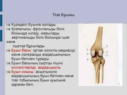 Үлкен орыс асханасында қазақ әйелімен секс