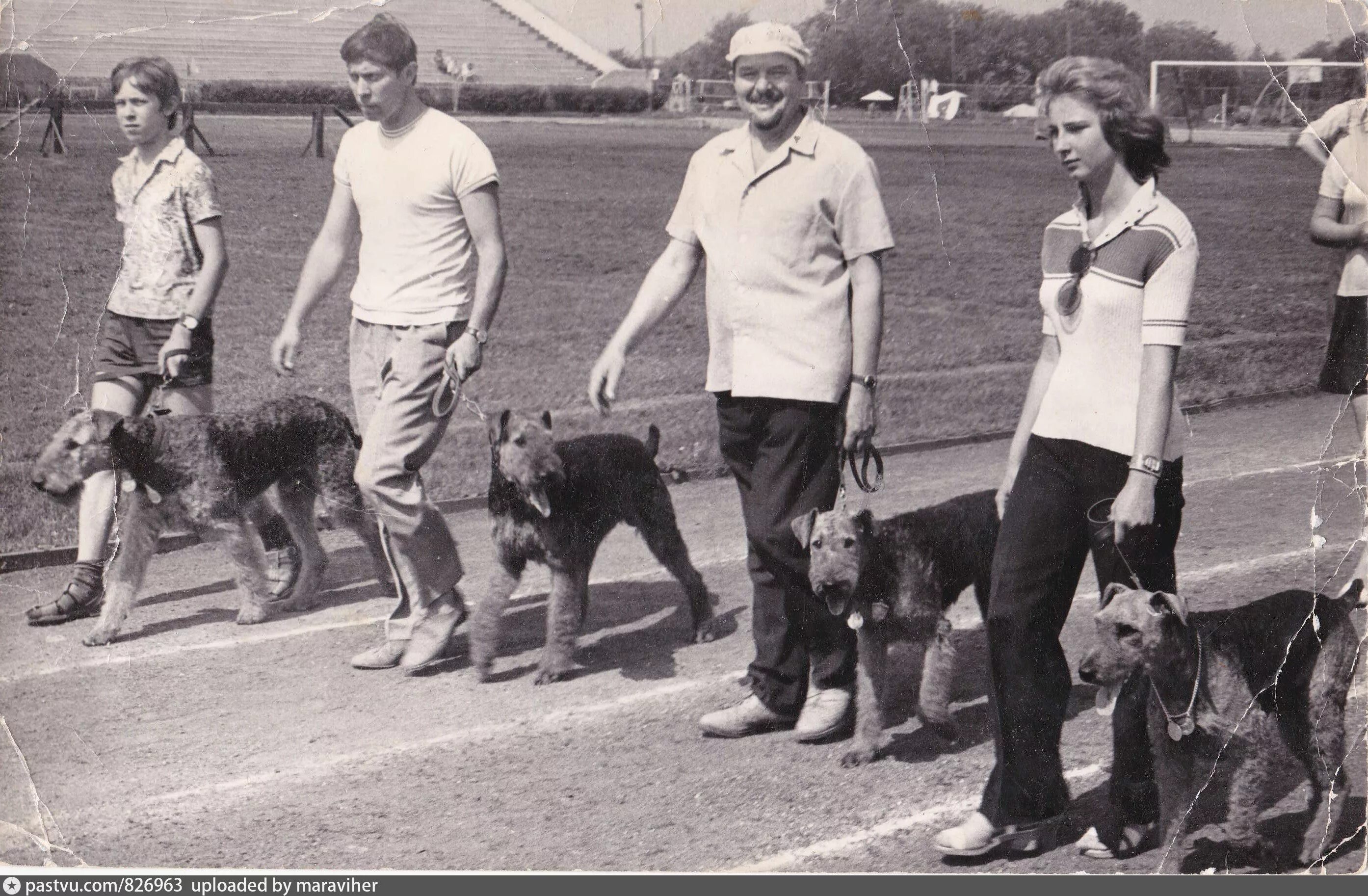 Выставки собак в СССР. Советская выставка собак. Собаки на выставке в 80 х. Выставки собак в СССР история.
