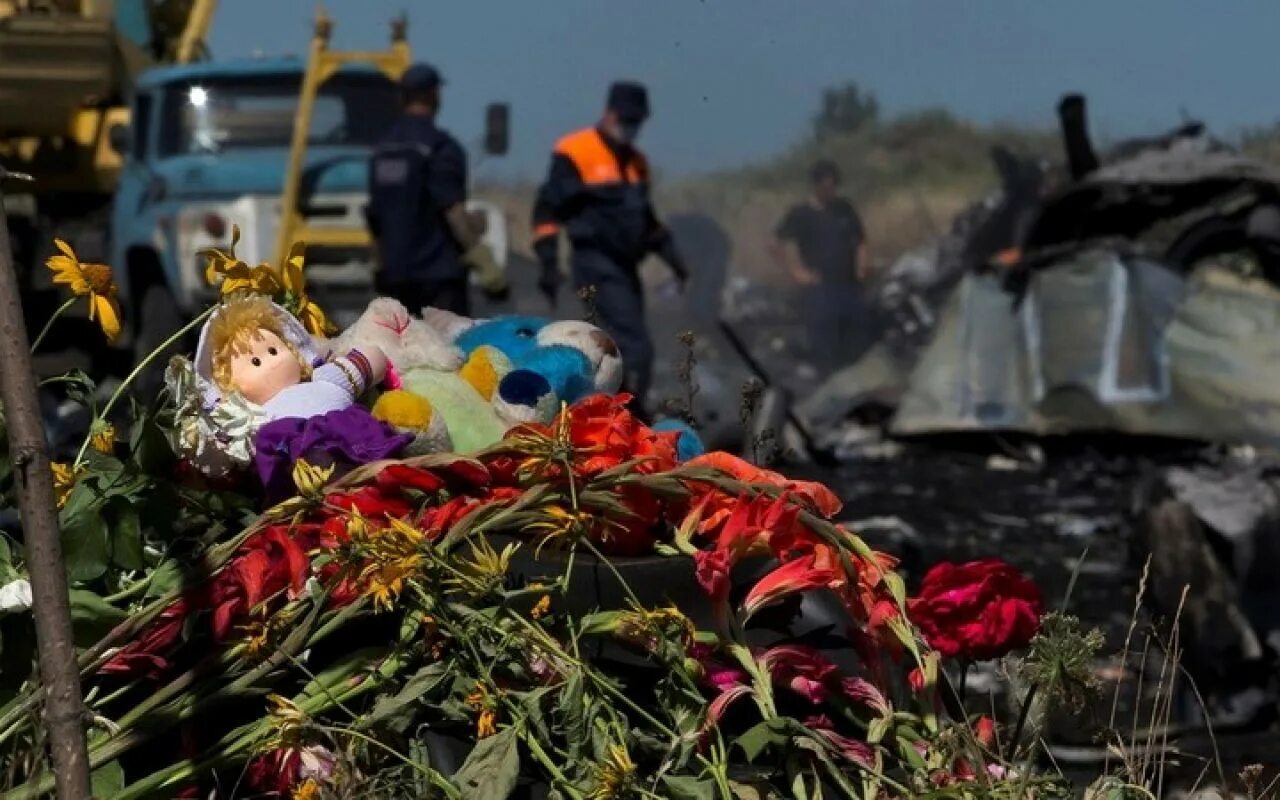 Сбит самолет 2014. Малазийский боинг донбасс. сбитие малазийского боинга. крушение боинга 2014 жертвы.