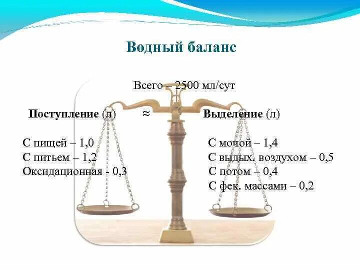 Водный баланс. Соблюдение водного баланса. Понятие о водном балансе. Нормальный Водный баланс в процентах. Рели баланс