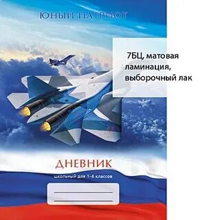 Дневник 17