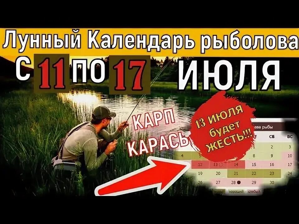Прогноз клева рыбы на неделю с 5 по 13 ФЕВРАЛЯ 2022 Календарь рыболова Лунный ка