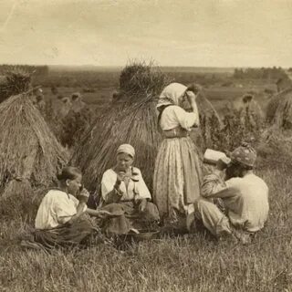 Крестьяне курской губернии