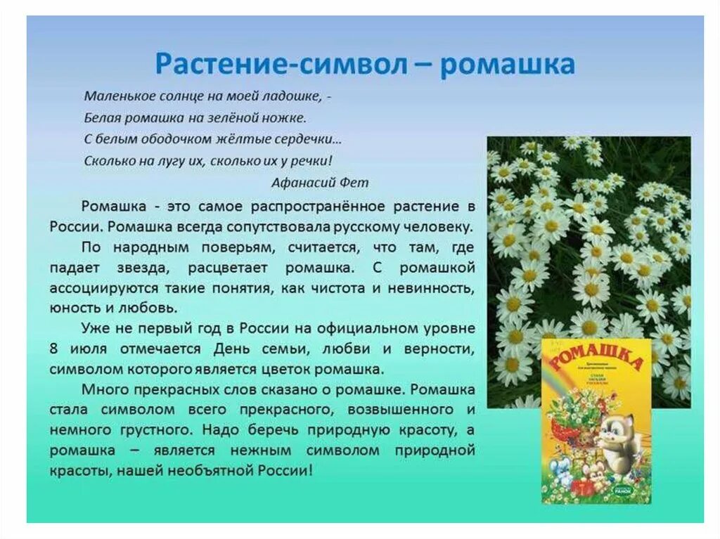 Какой цветок является символом всероссийского дня семьи. Ромашка символ России. Символ растения. Растение символ России. Цветок национальный символ России.