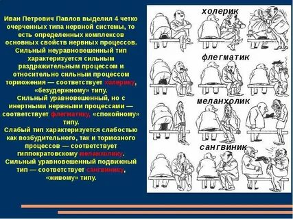 Типы темперамента человека по павлову