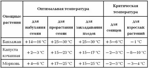 Какая температура почвы в теплице