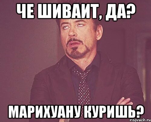 Опять курил эльфийский лист. Ты че куришь. Че курил землю русскую мем. Ты че куришь. Чучело лисы.