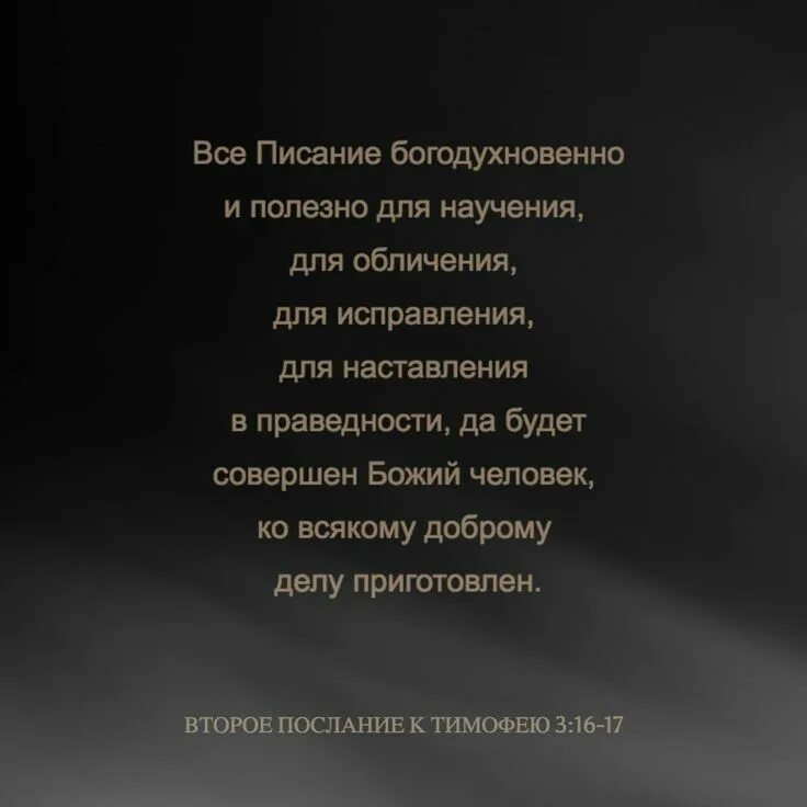 2 послание к тимофею глава 2. Библия все писание богодухновенно и полезно для научения. для обличения для наставления в праведности. всё писание богодухновенно и полезно для научения для обличения. второе послание к тимофею.