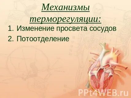 Биология роль кожи в терморегуляции организма