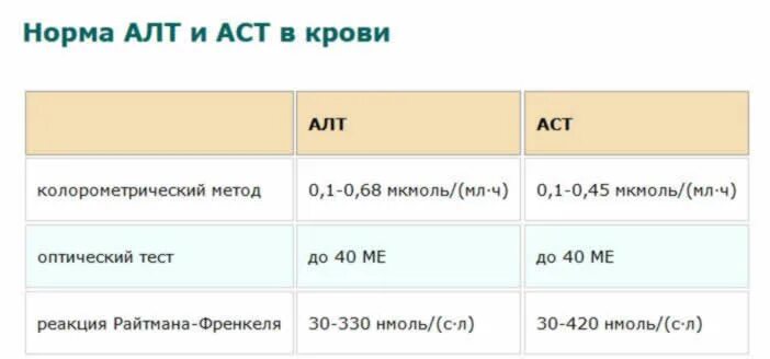 Аст норма у мужчин по возрасту