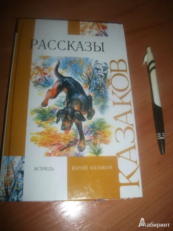 Книги юрия казакова. Рассказы Казакова.