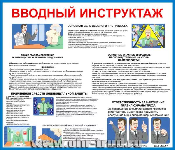 Вводный инструктаж 2025. Организация вводного инструктажа по гражданской обороне. вводный инструктаж по го и чс. вводный инструктаж по гражданской обороне. инструкция вводного инструктажа по го и чс.