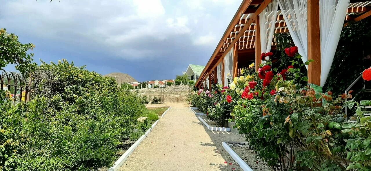 коктебель ул ленина 65. улицы поселка коктебель. гостевой дом камела коктебель. коктебель улица ленина. ул ленина 146 коктебель крым.