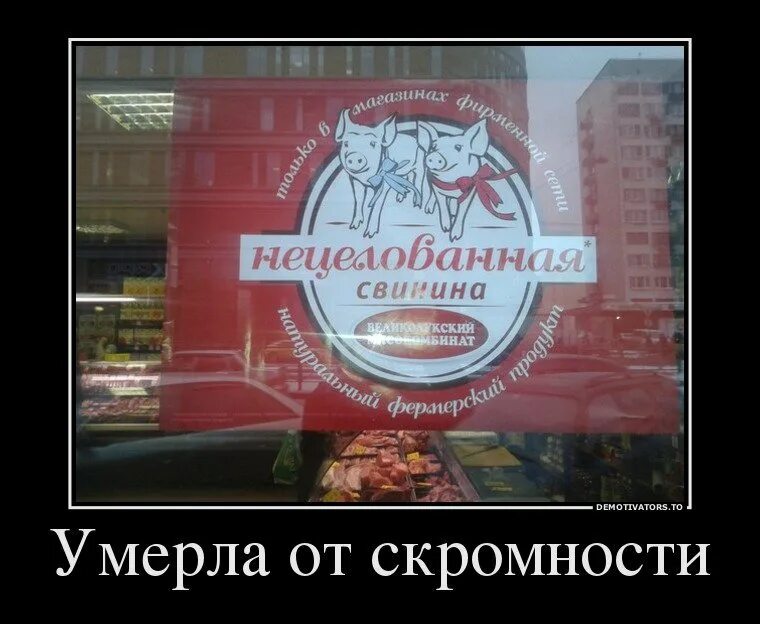 От скромности не умрешь. От скромности не умрешь. Скромность смешные картинки. Фраза от скромности не помрешь. Я не скромная.