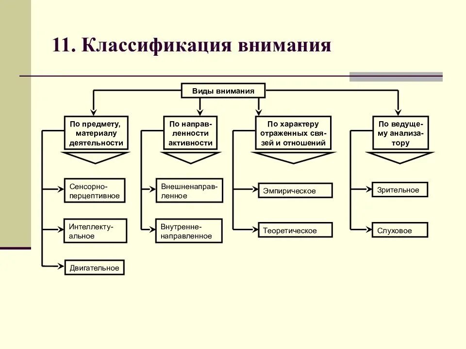 Процессы внимания в психологии таблица. Классификация познавательных психических процессов. Схема возникновения психических процессов. Классификация видов внимания. Развитие памяти этапы