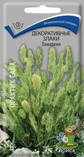 Семена декоративных