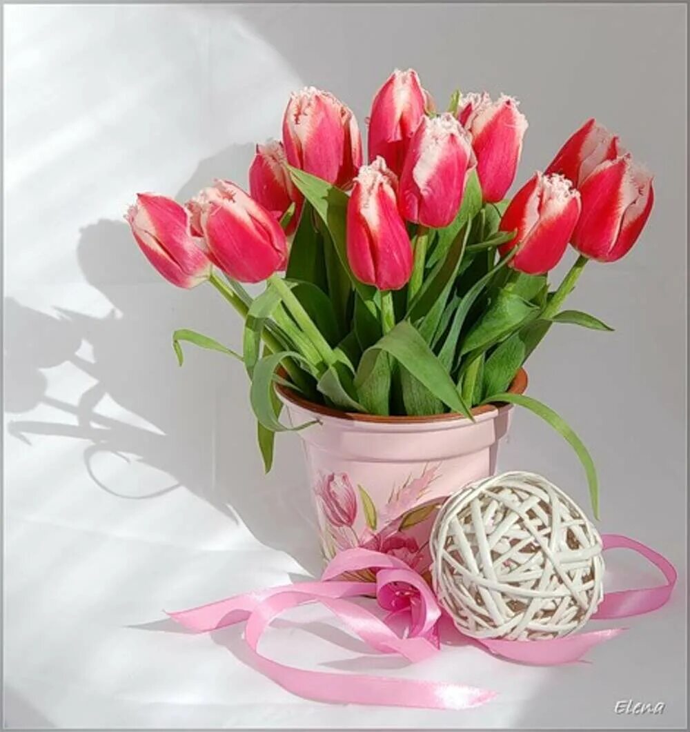 Доброе предпраздничное утро 8. Тюльпаны открытка. С днём рождения тюльпаны. Весеннего настроения тюльпаны.