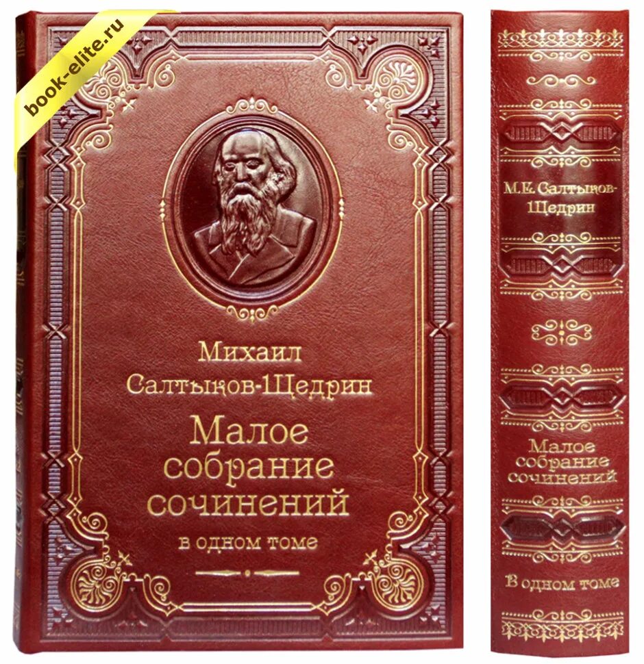 Название большого произведения. Салтыков Щедрин Малое собрание сочинений. Собрание сочинений книга Салтыков Щедрин. Салтыков-Щедрин собрание сочинений в 10 томах. Об авторе на обложке книги.