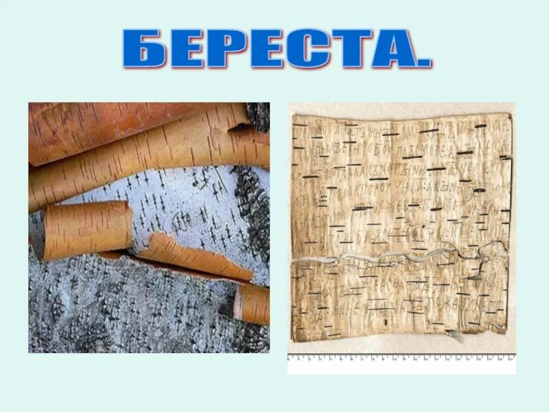 Составить береста. Береста. надпись на березовой коре. береста для детей. берестяной лист.