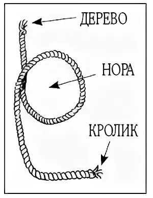 Временная петля это