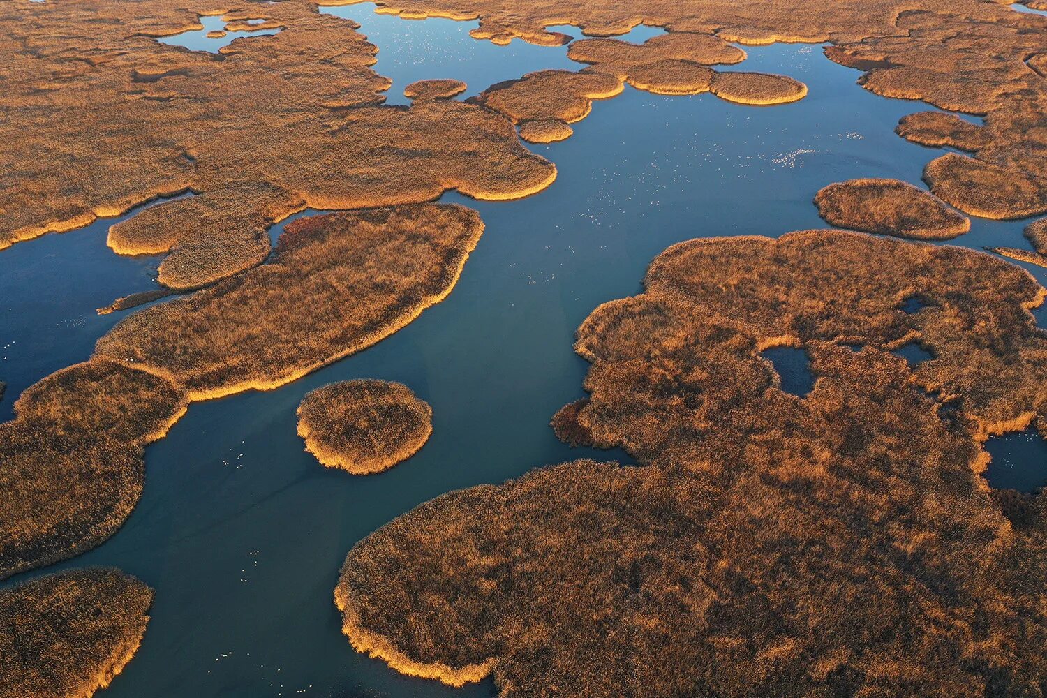 Река волга впадает в каспийское море знаки. Дельта реки Волга. Место впадения Волги в Каспийское море. Каспийское море Дельта Волги. Делта Волги.