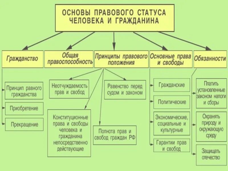 Элементы правового статуса человека в РФ. Правовой статус государственного учреждения