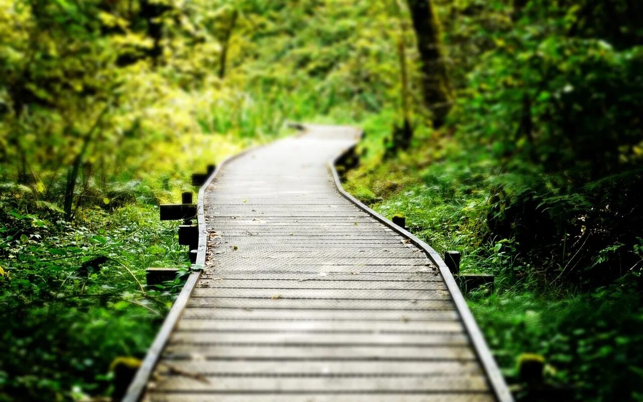 Ya path